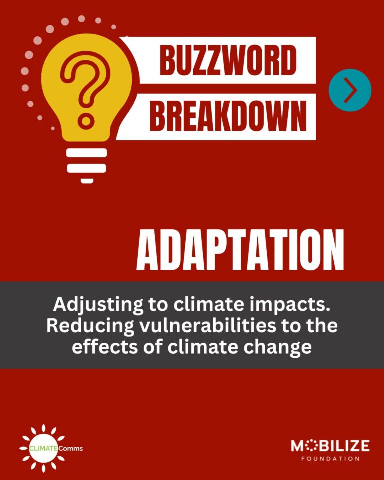 03_Adaption_Slide 1