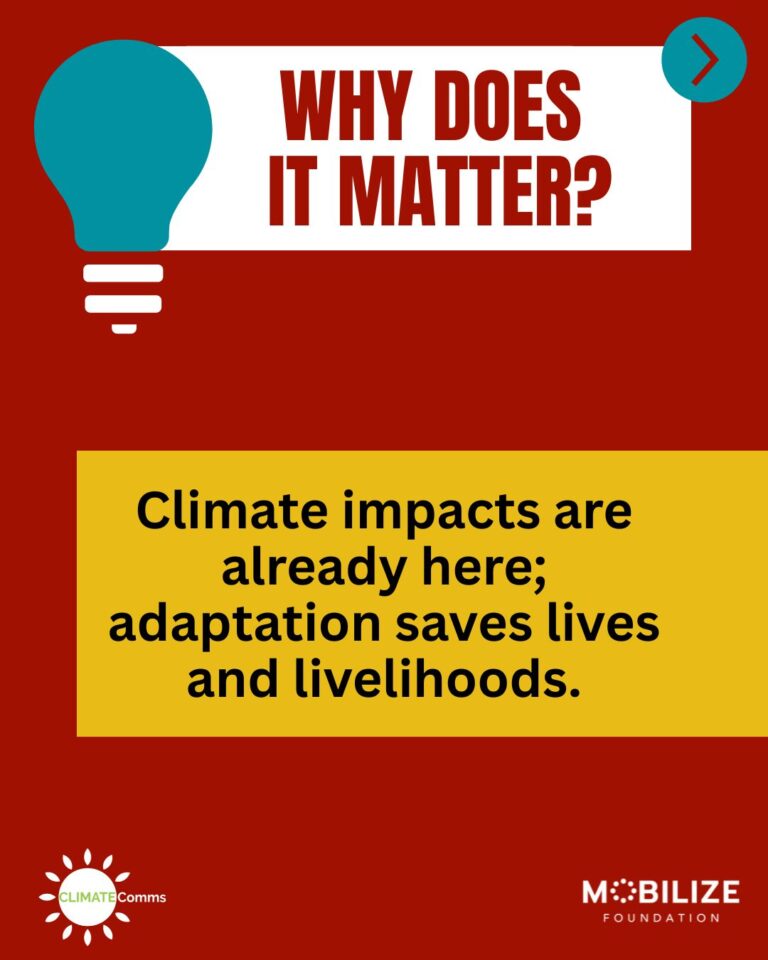 03_Adaption_Slide 2